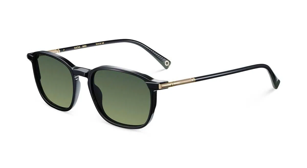 Etnia Barcelona CACTUS Sunglasses - view 36